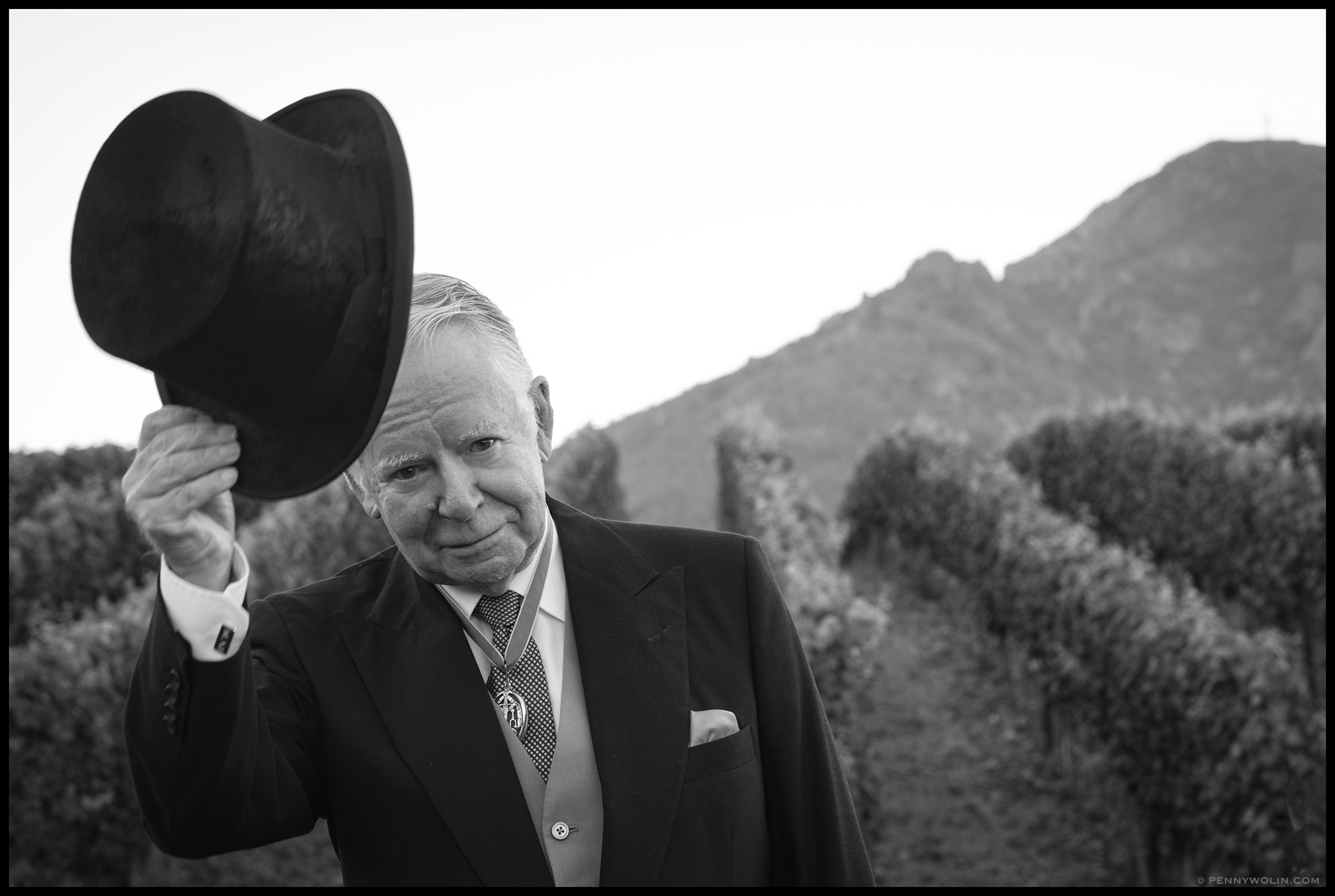 An English Knight in the Vineyard